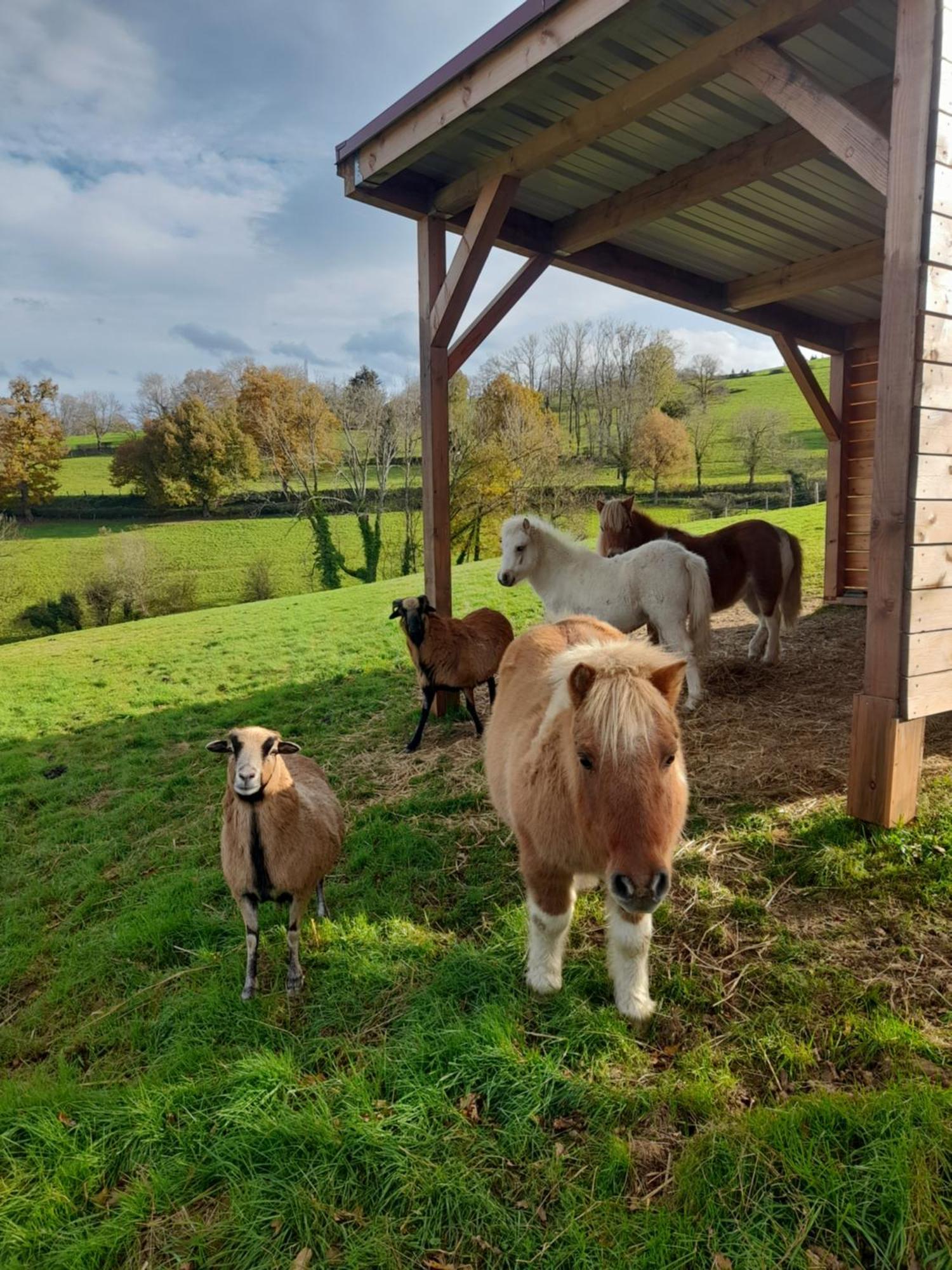 Mascotte Holiday home La Gresle